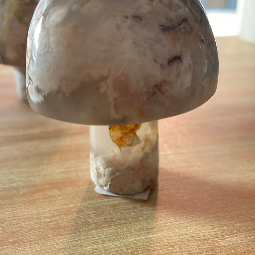 Flower Agate Mushrooms