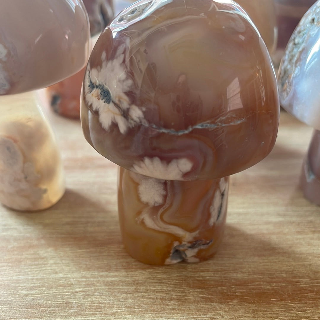 Flower Agate Mushrooms