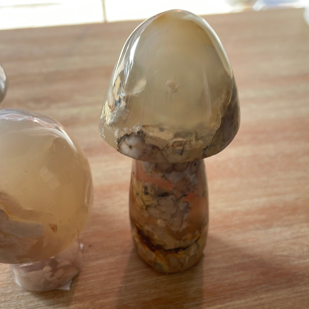Flower Agate Mushrooms