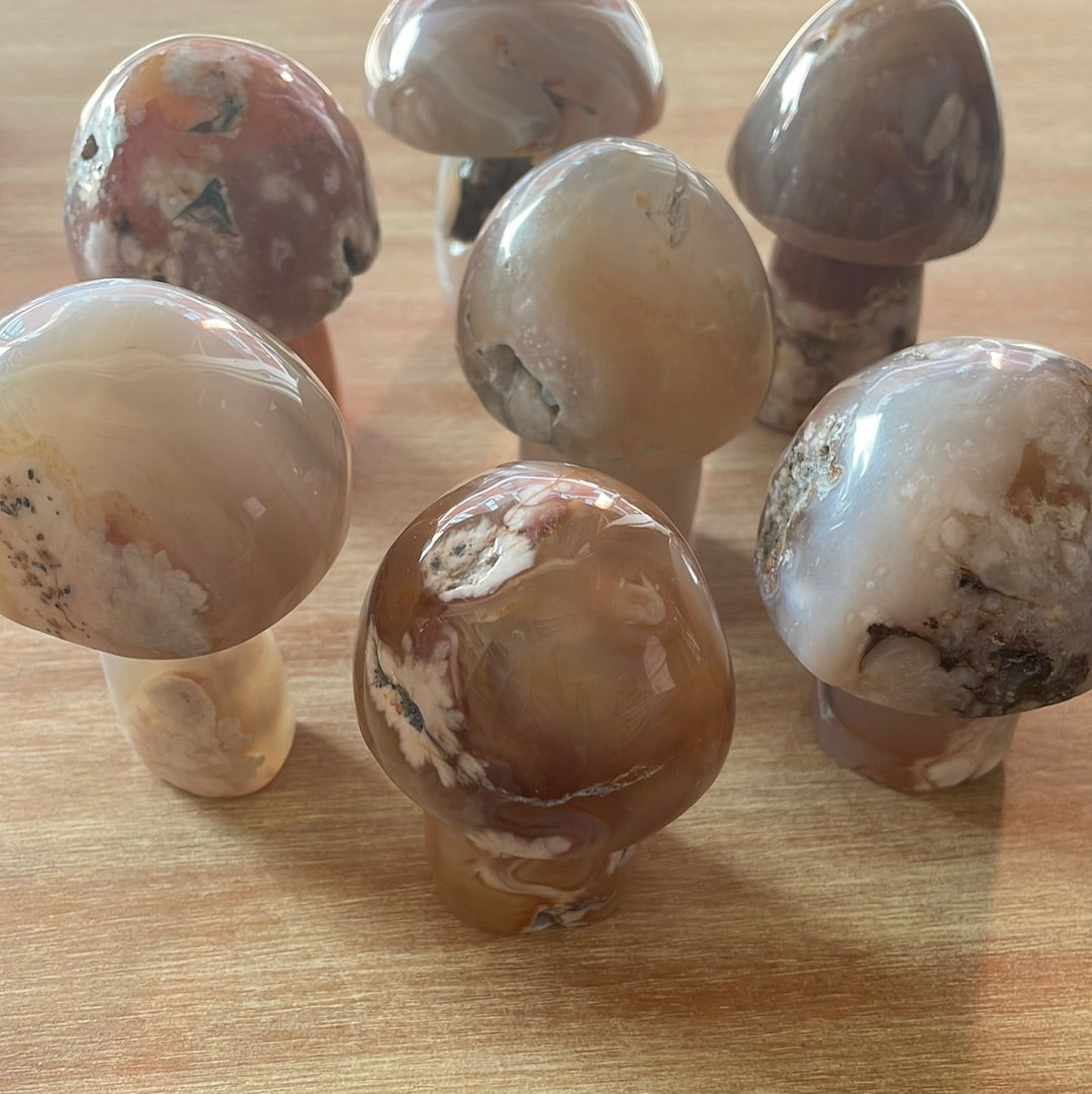 Flower Agate Mushrooms