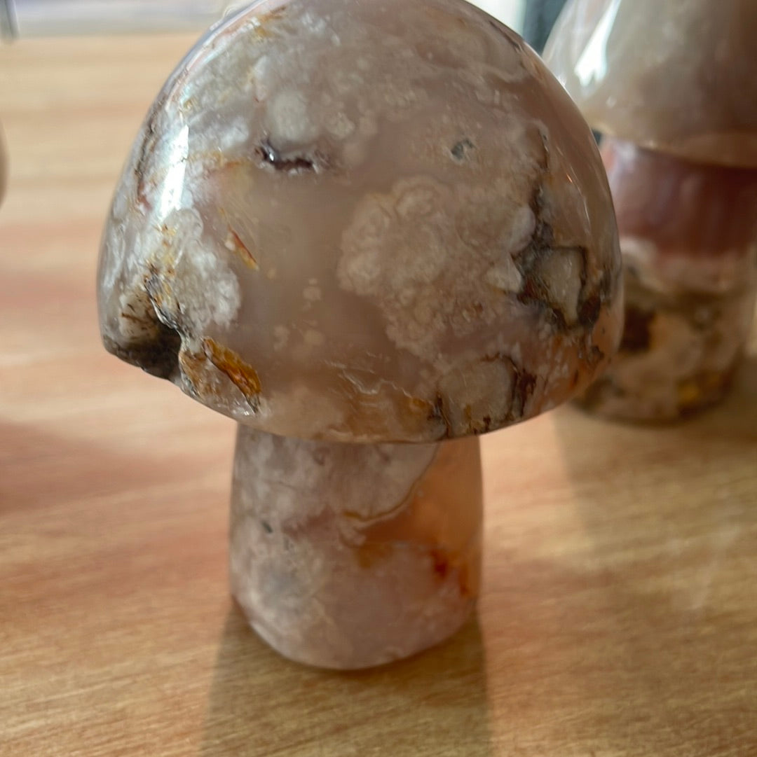Flower Agate Mushrooms