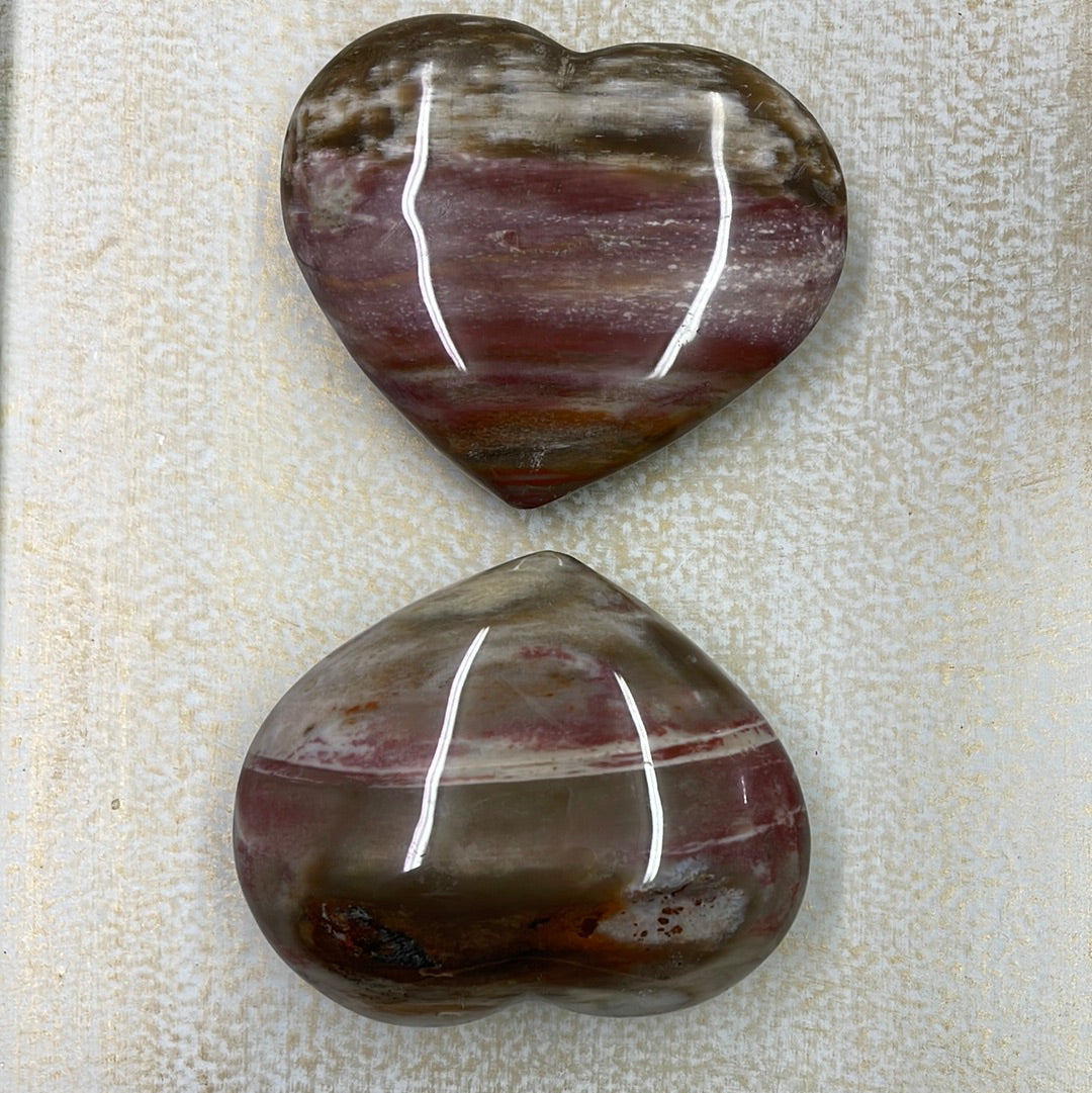 Petrified Wood Heart