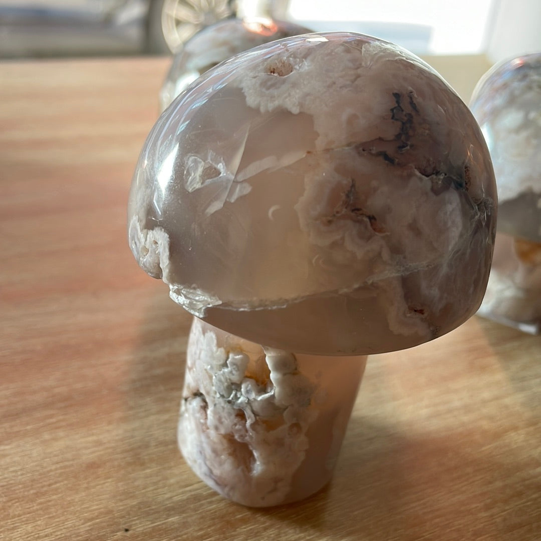 Flower Agate Mushrooms