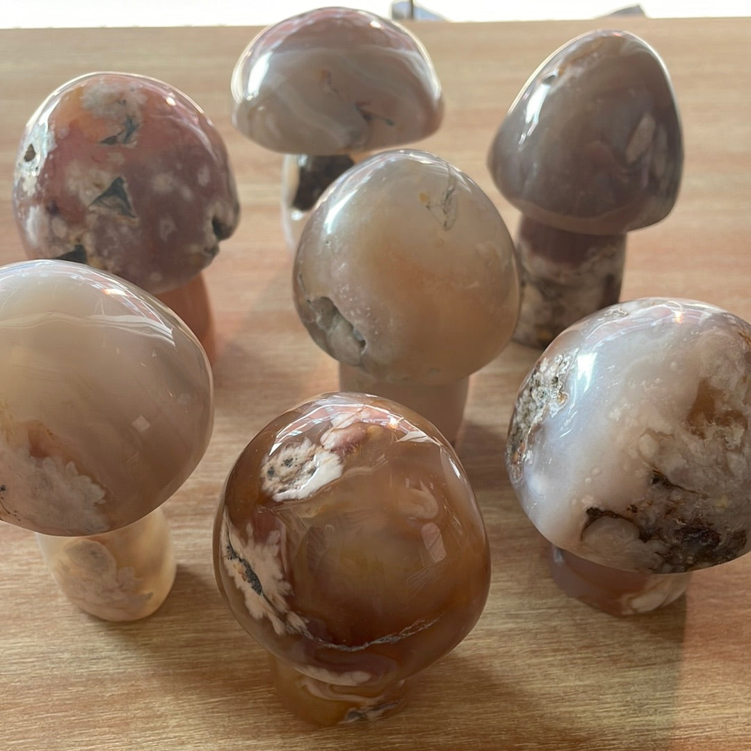 Flower Agate Mushrooms