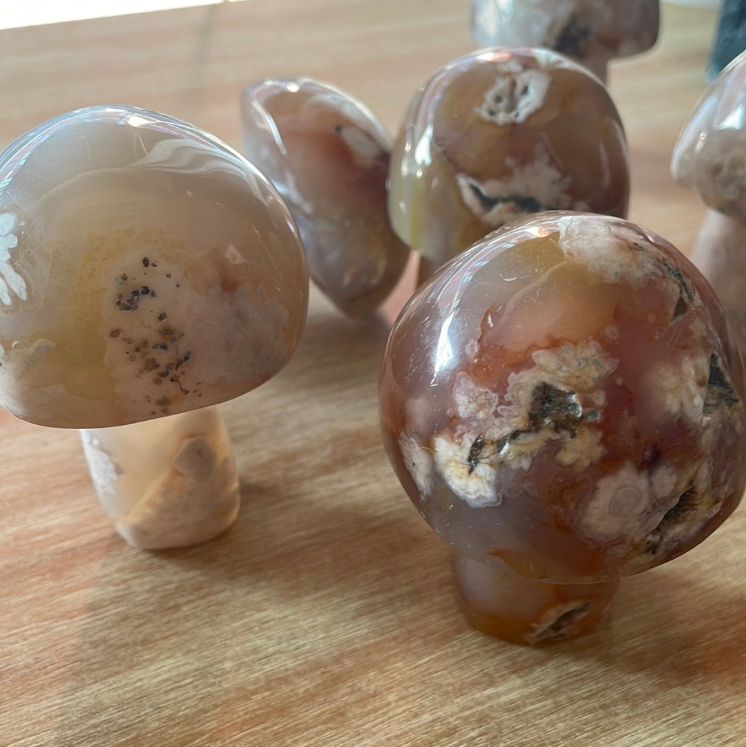 Flower Agate Mushrooms