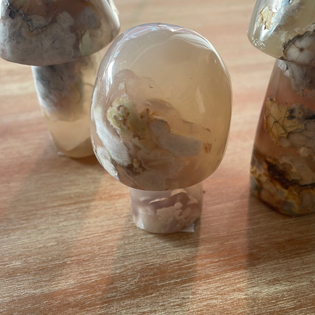 Flower Agate Mushrooms
