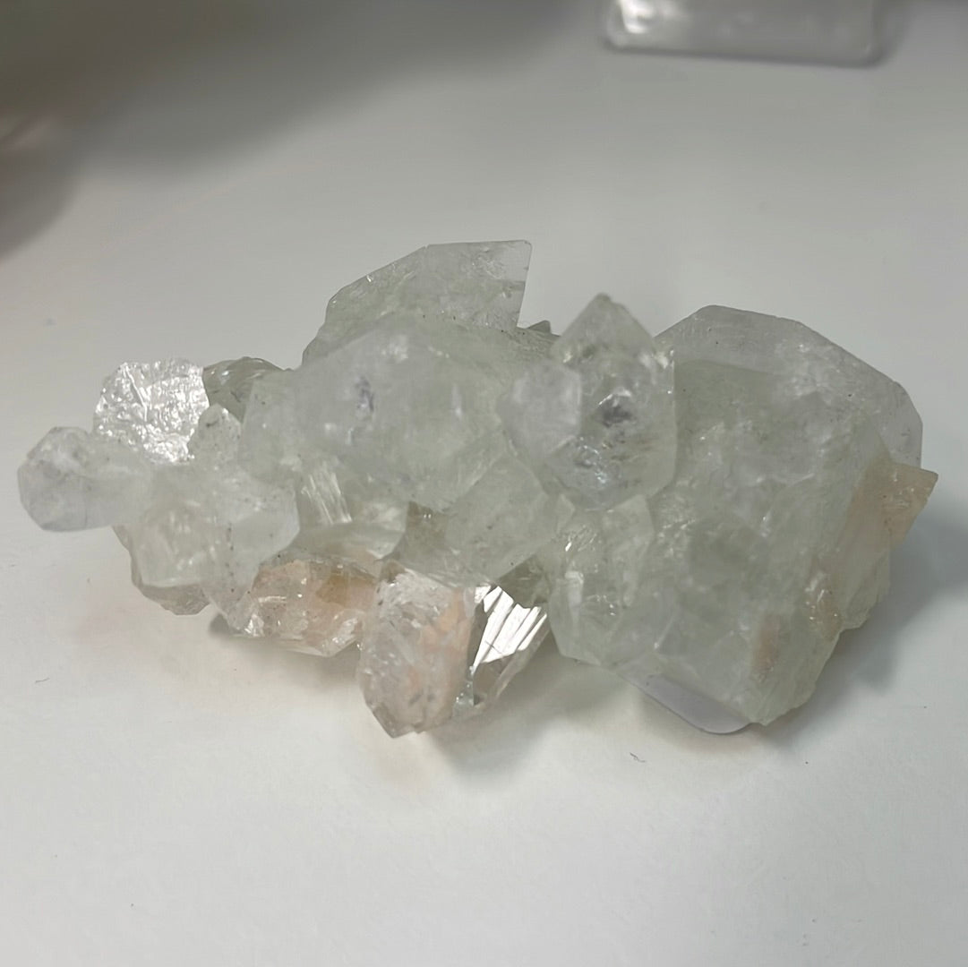 Apophyllite