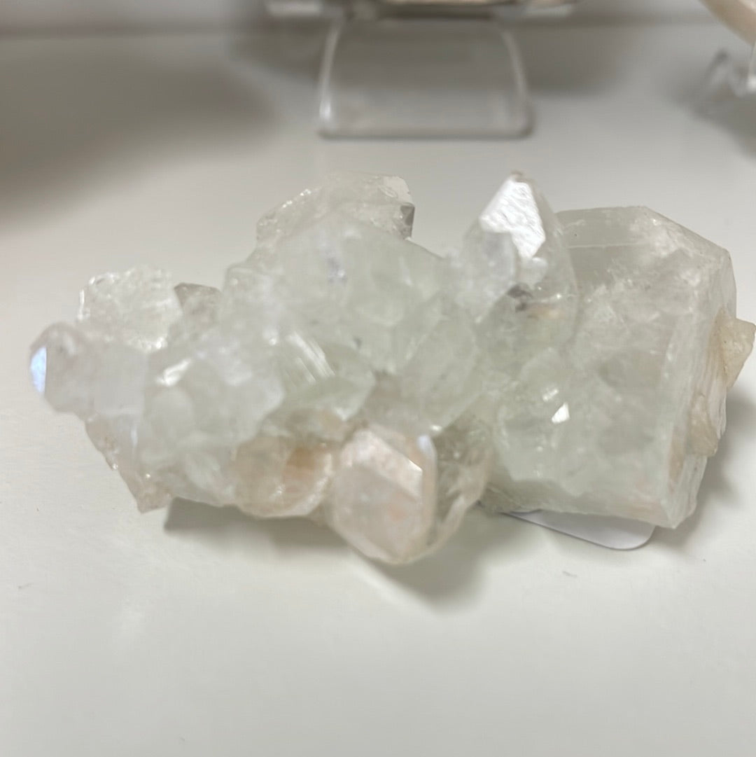 Apophyllite
