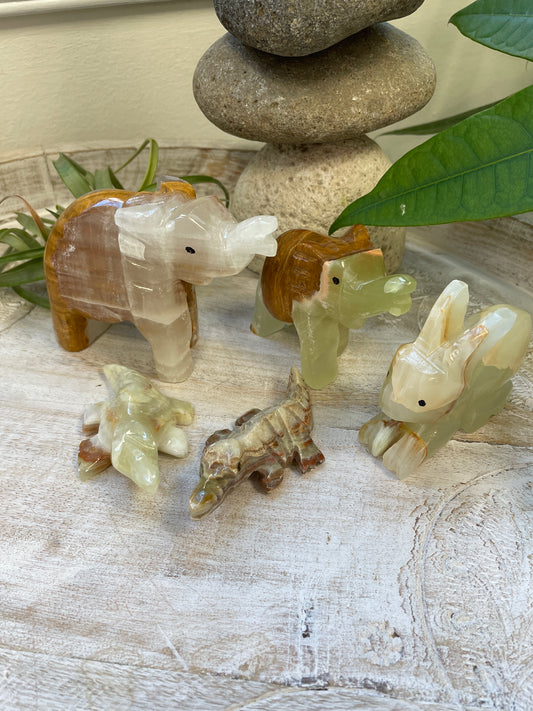 Onyx Animals