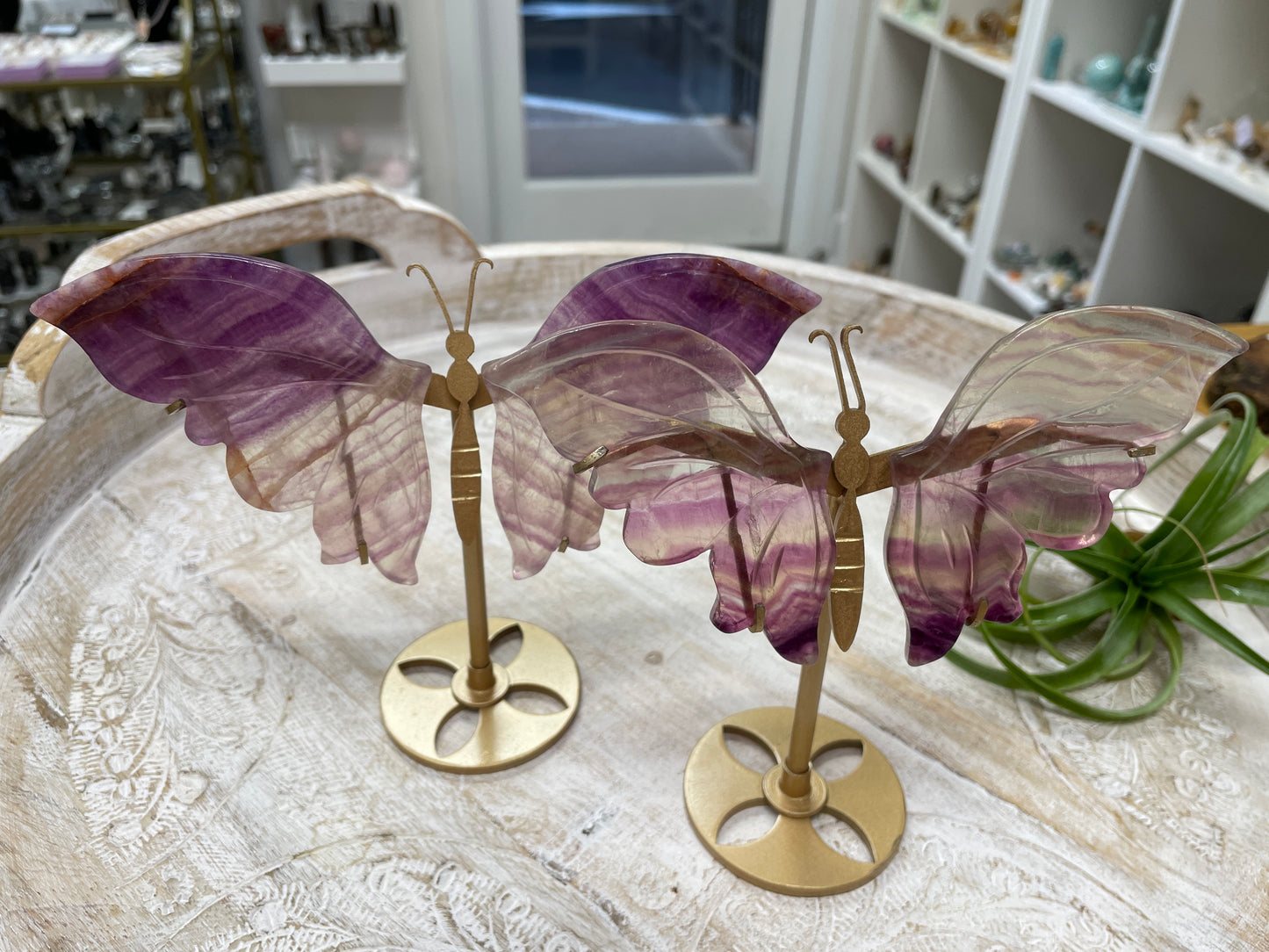 Fluorite Butterfly