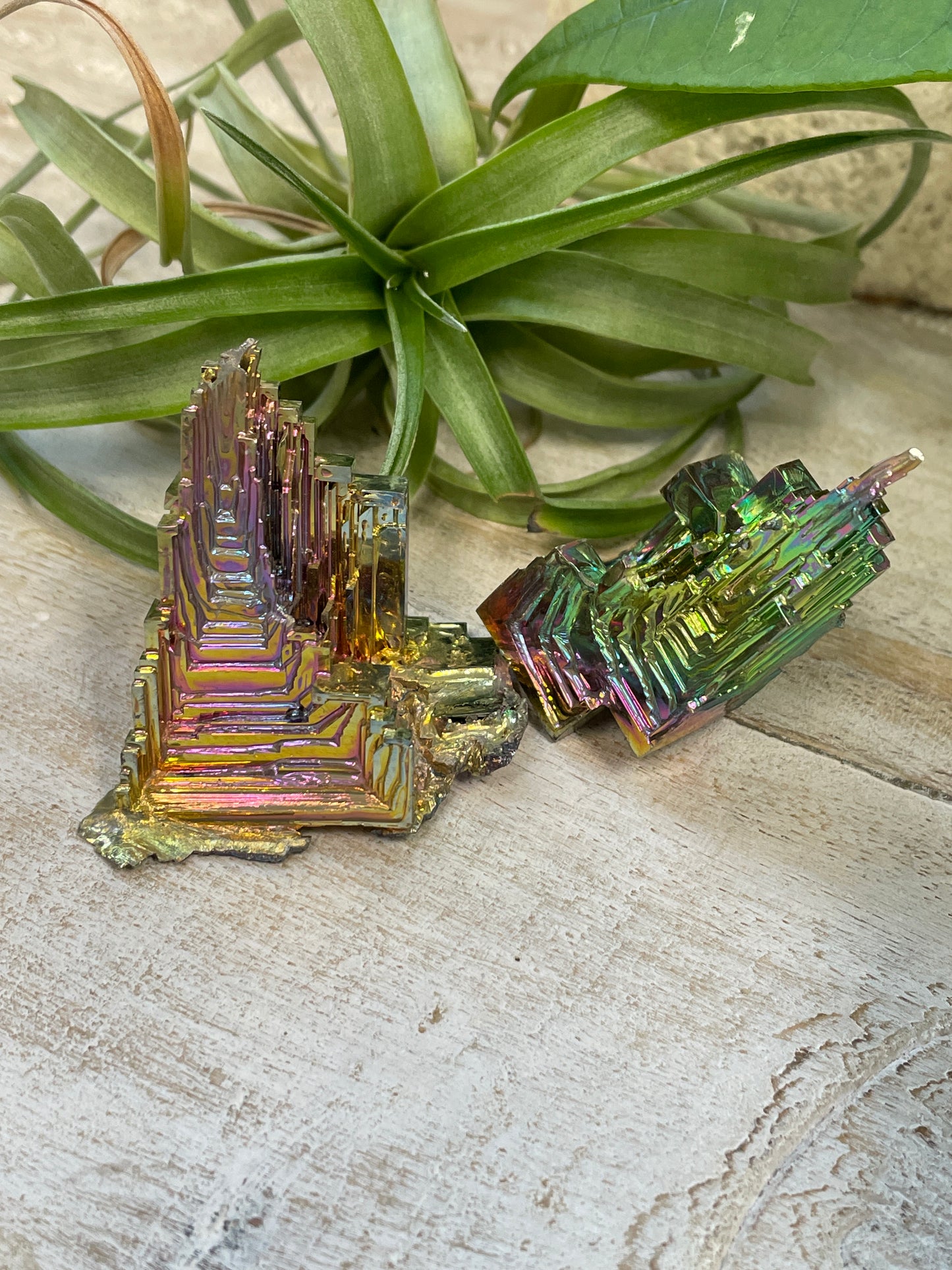 Bismuth