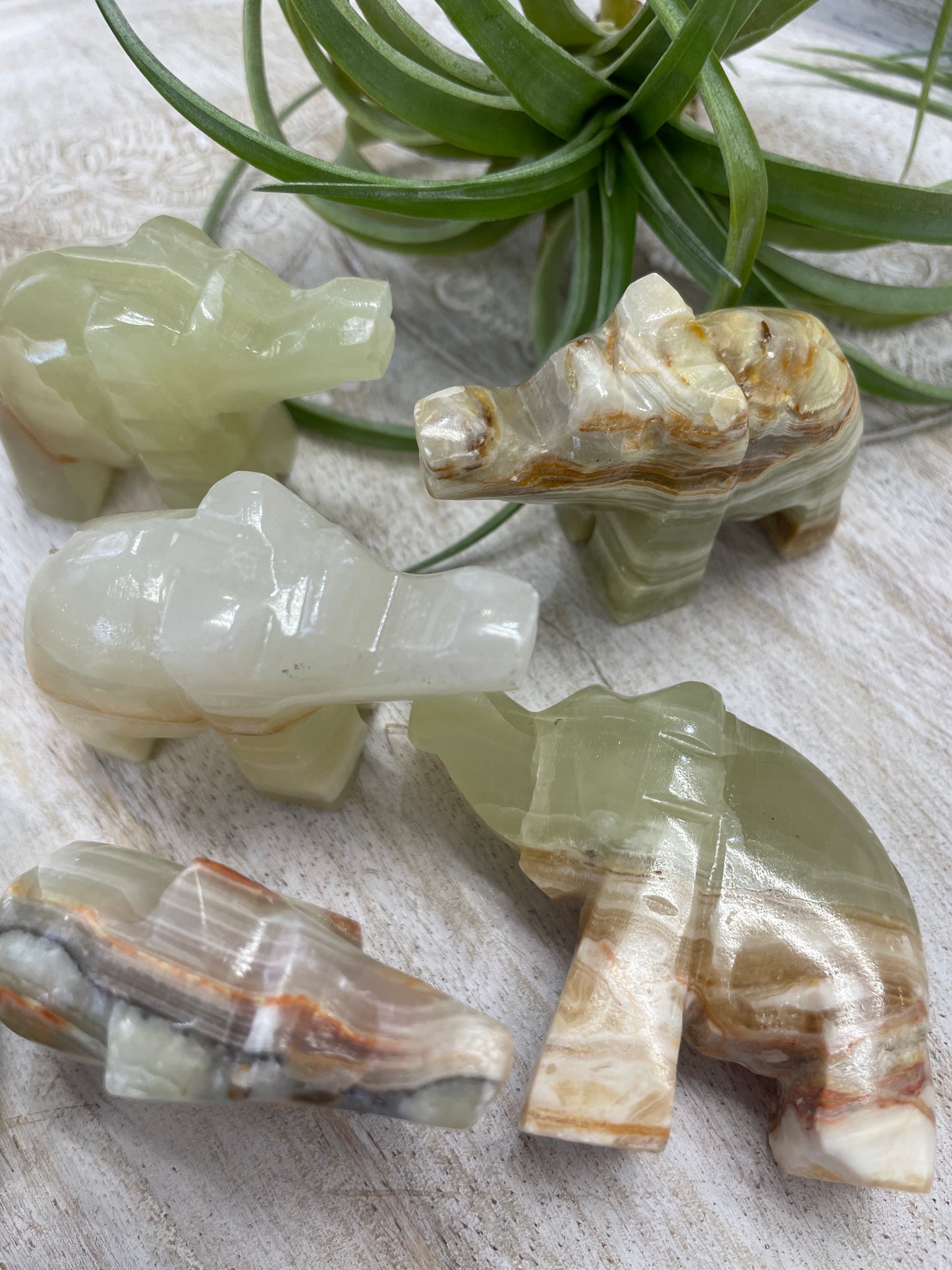 Onyx Elephant