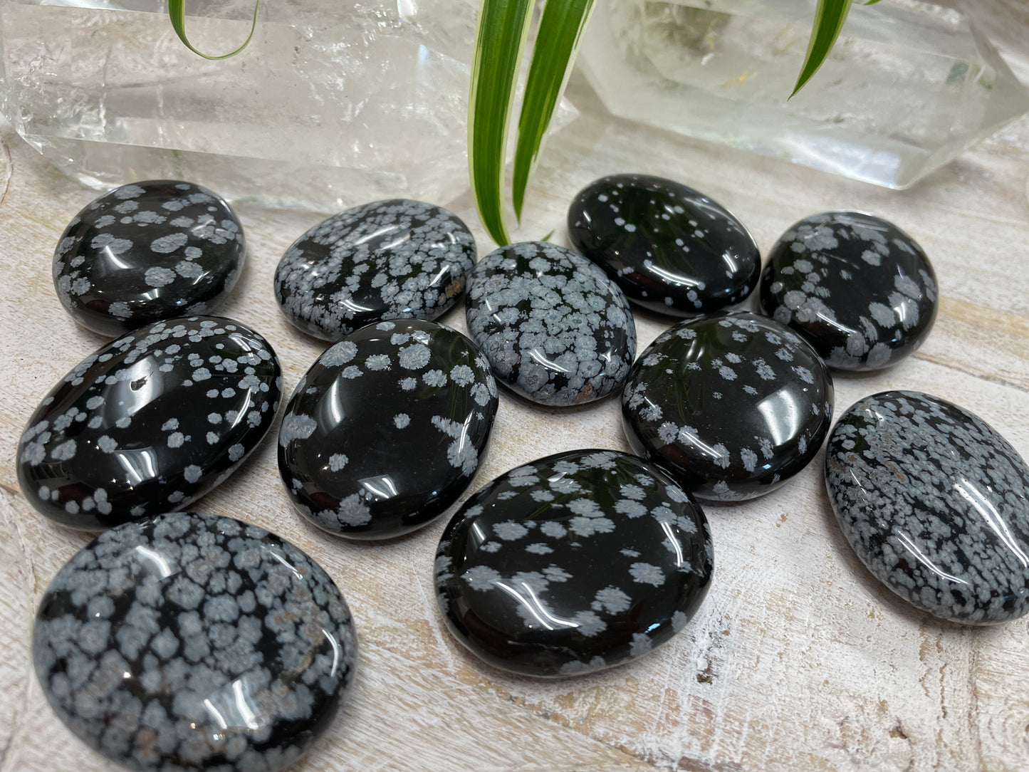 Palm Stone