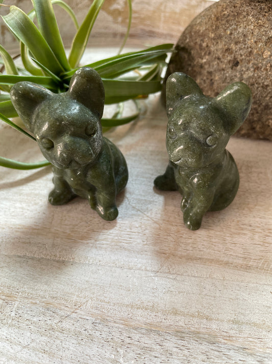 Jade French Bulldog