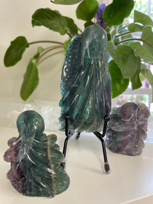 Fluorite Octupus