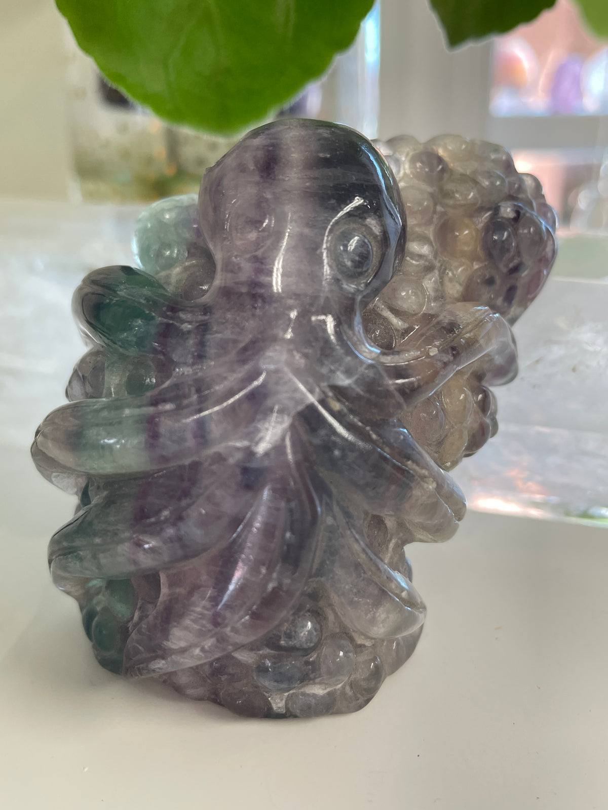 Fluorite Octupus