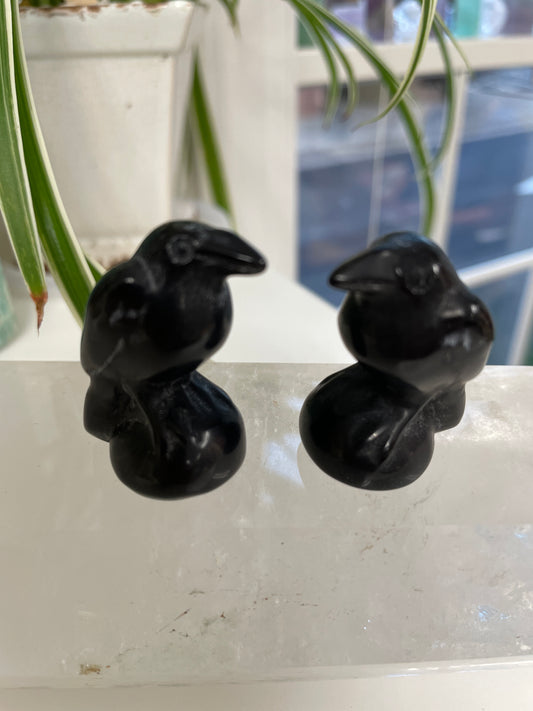 Obsidian Raven