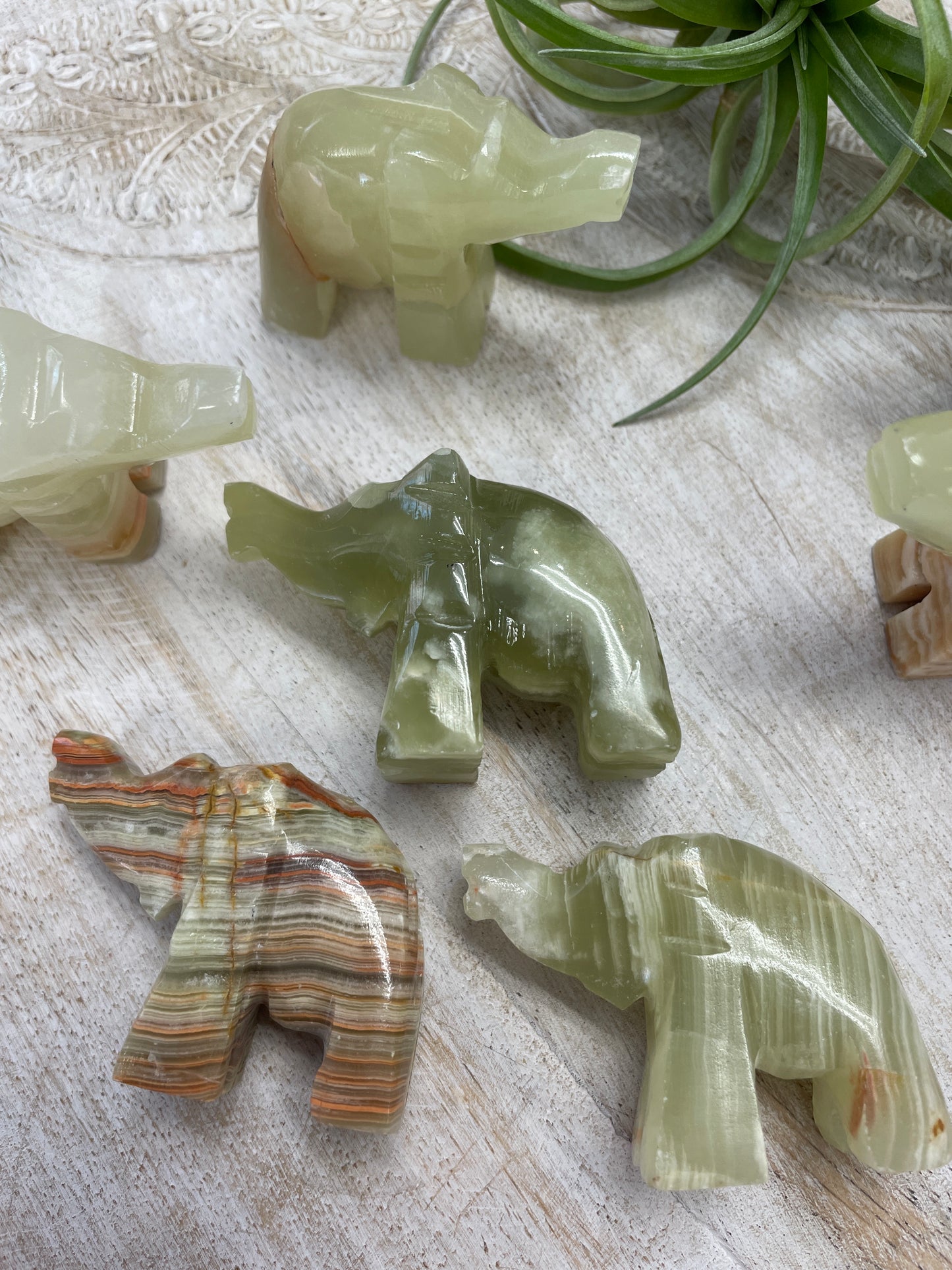 Onyx Elephant