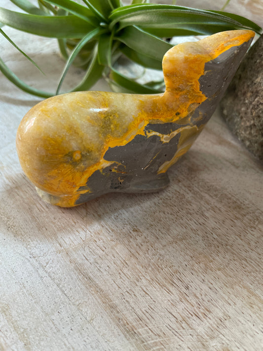 Bumblebee Jasper Whale