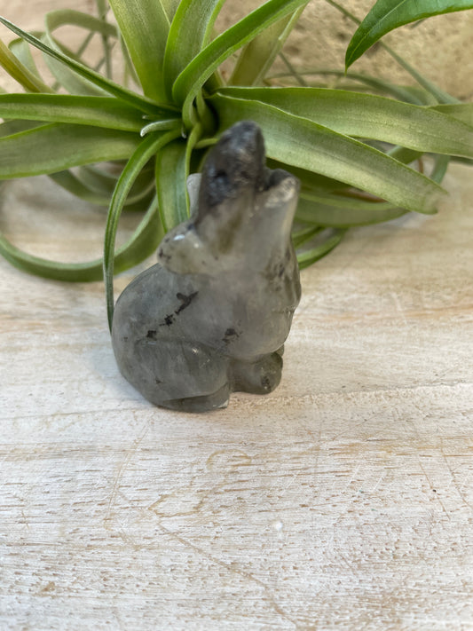 Labradorite Wolf