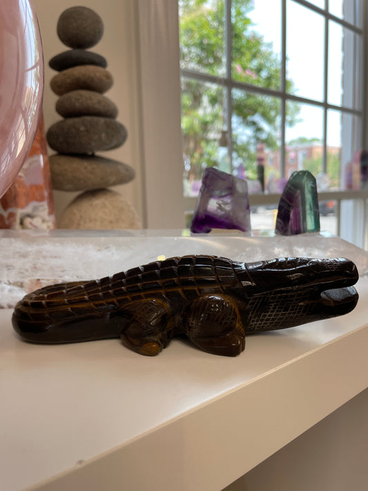 Tiger's Eye Alligator
