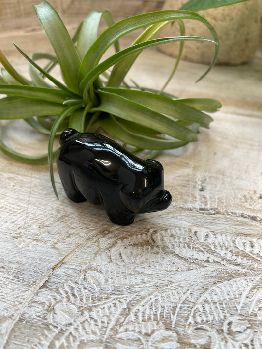Obsidian Pig