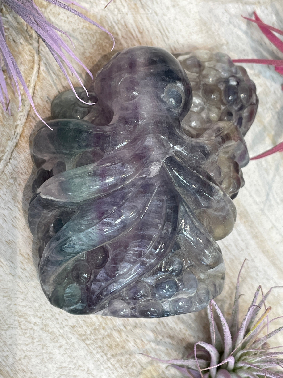 Fluorite Octupus