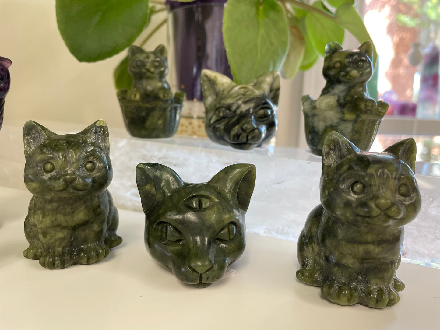 Jade Cat