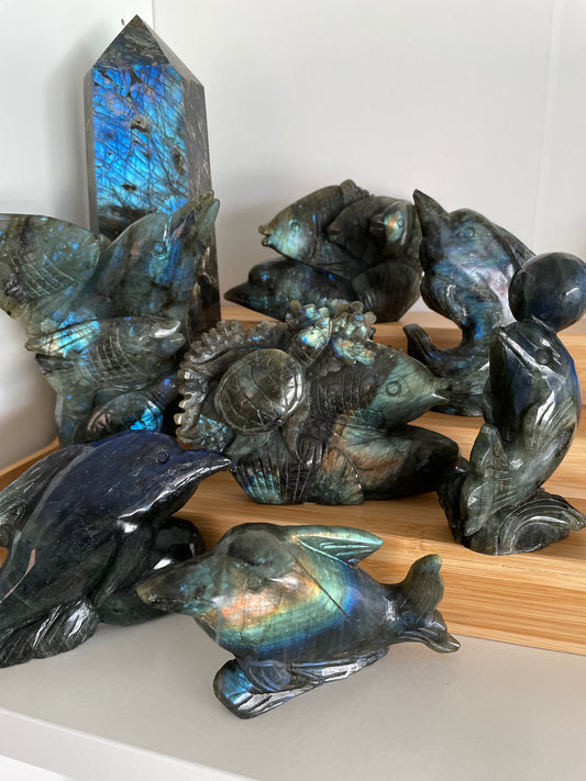 Labradorite Dolphin