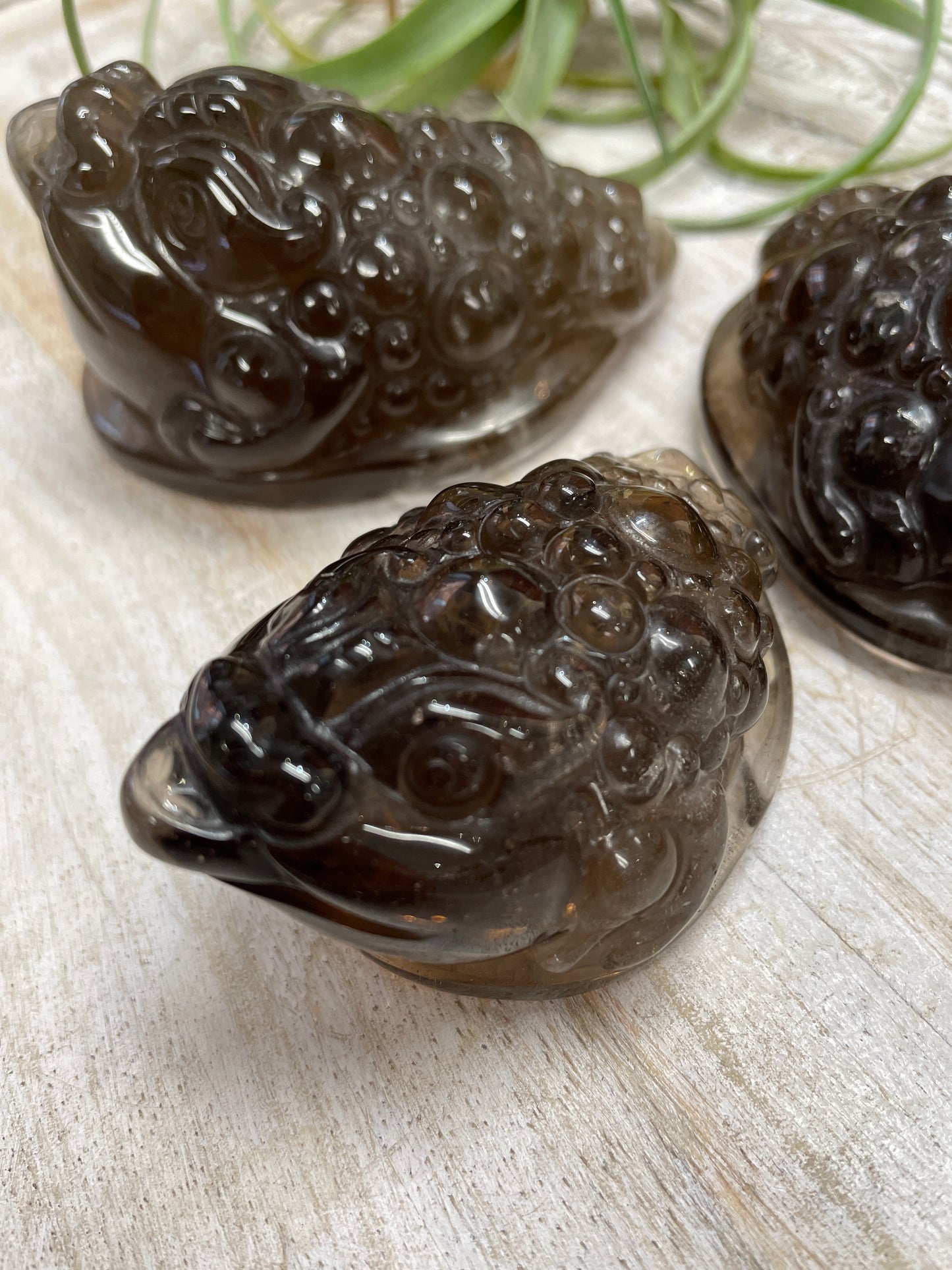 Smoky Quartz Money Toad