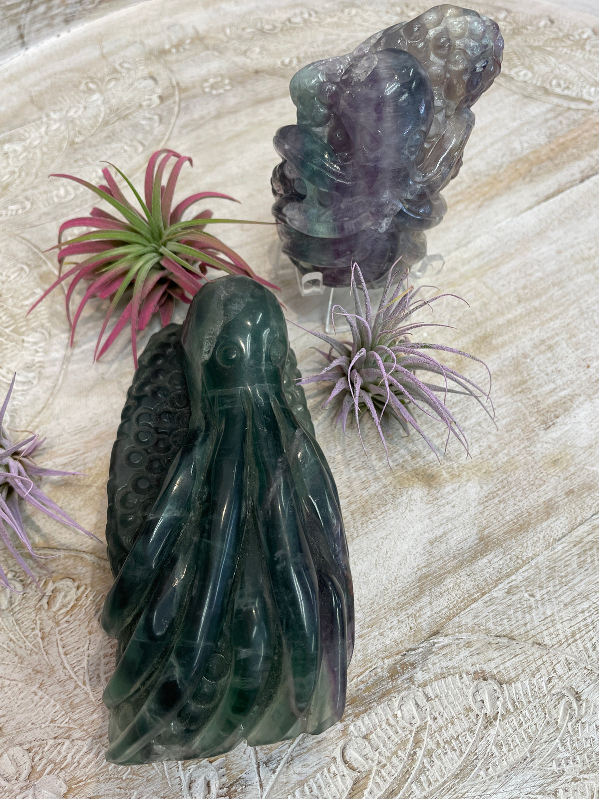 Fluorite Octupus