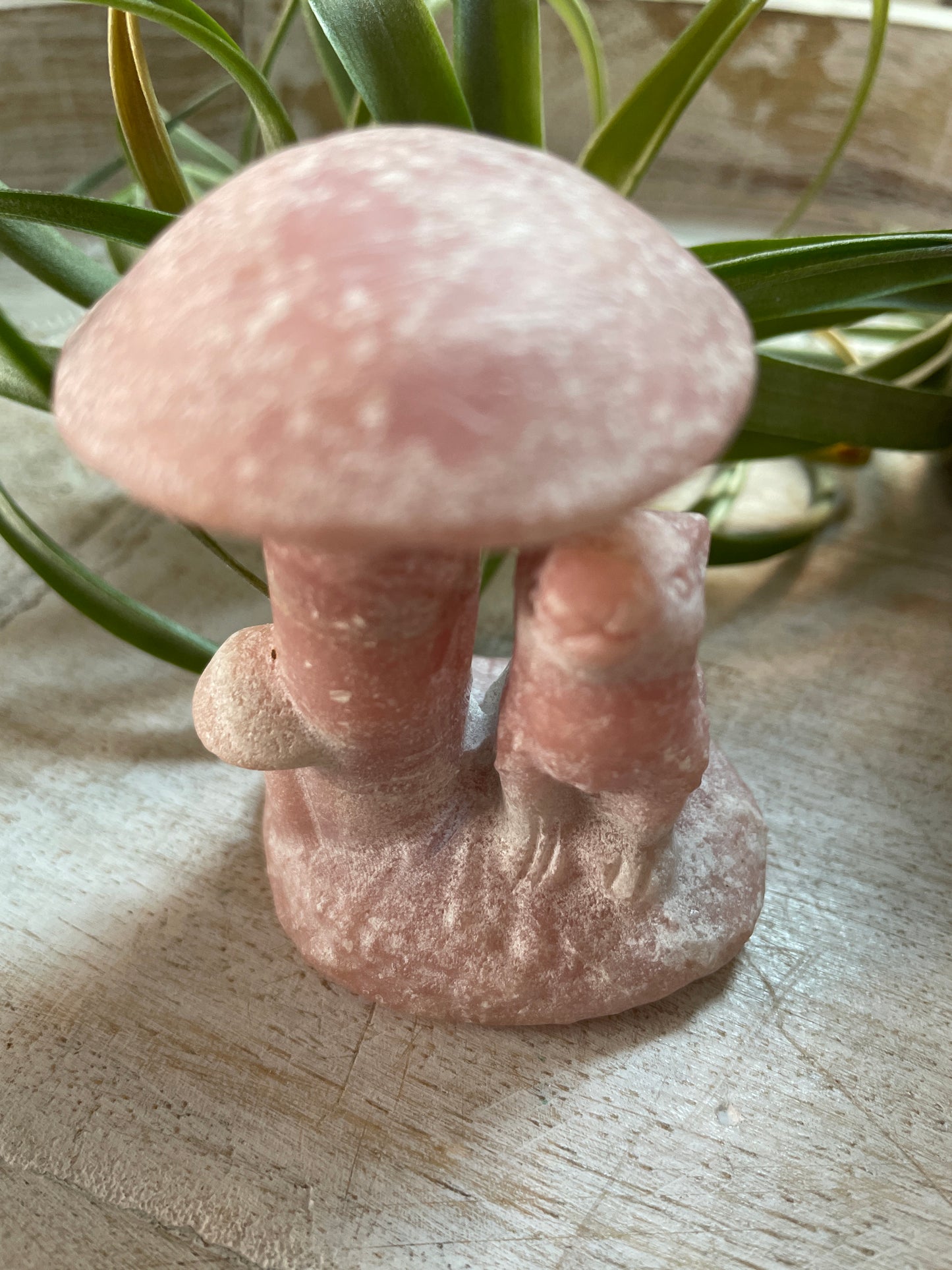 Mushroom Wolf/Owl Carving