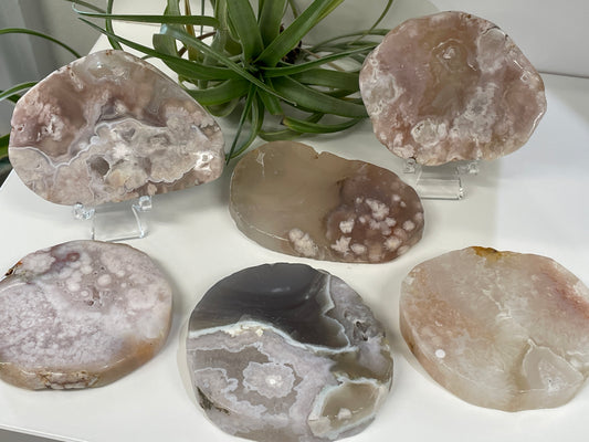 Flower Agate Slab