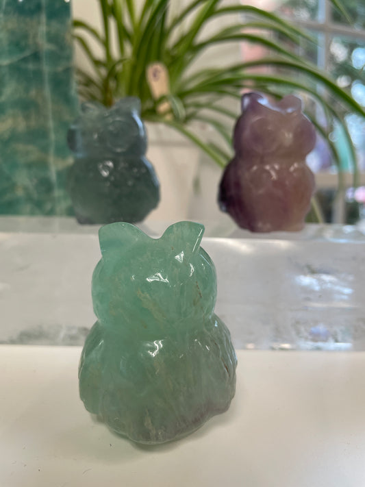 Fluorite Owl