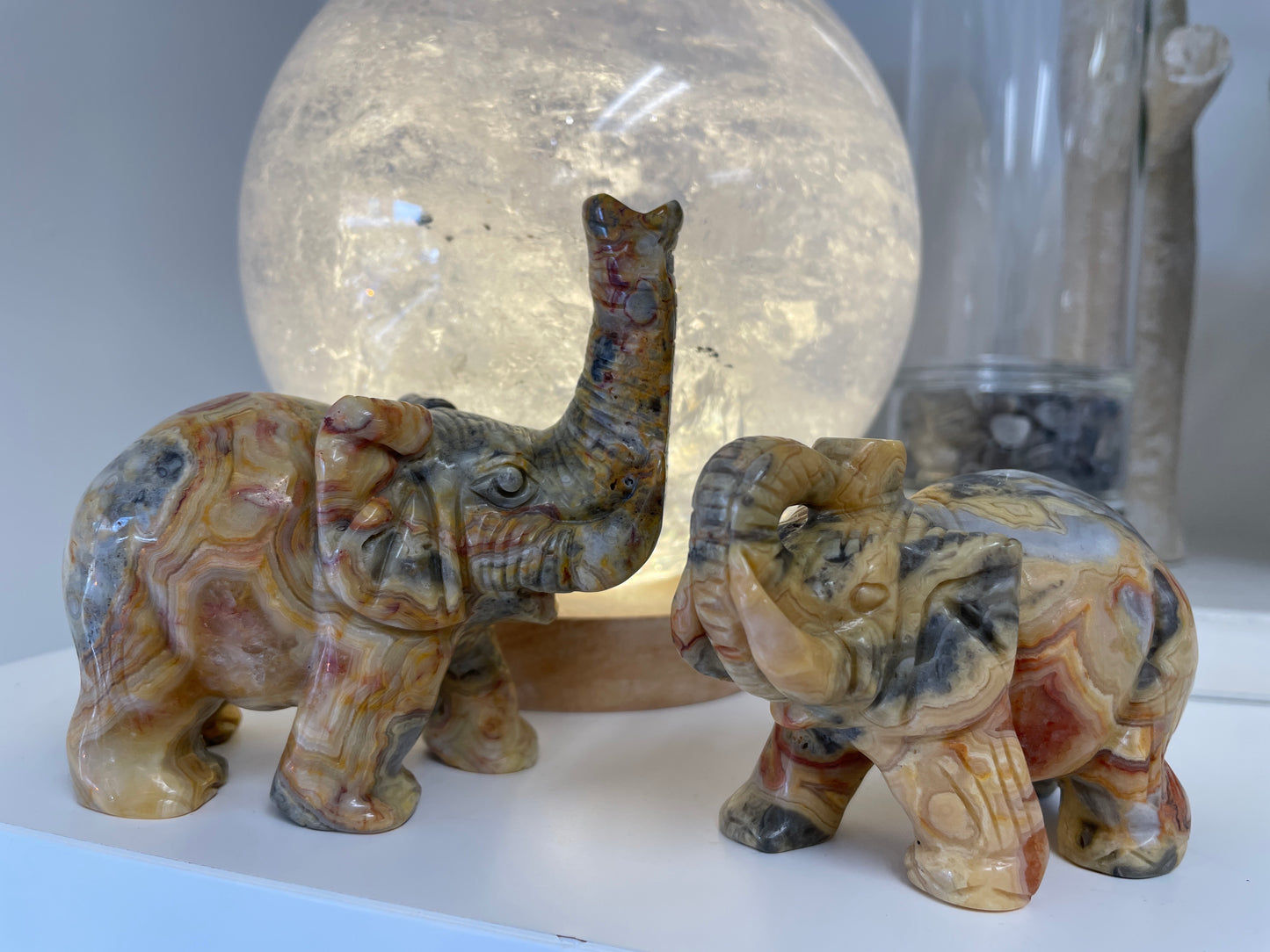 Crazy Lace Elephants