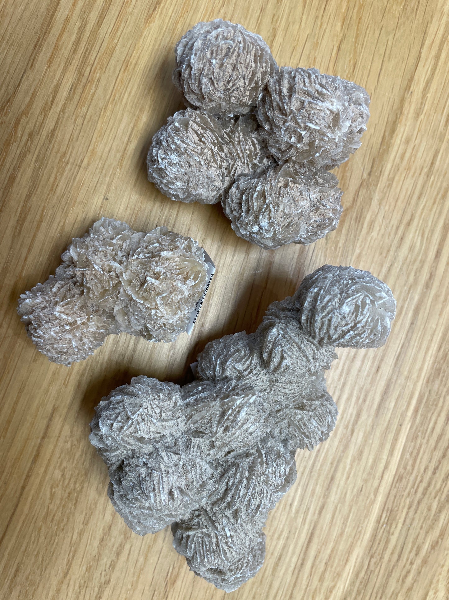 Desert Rose Selenite