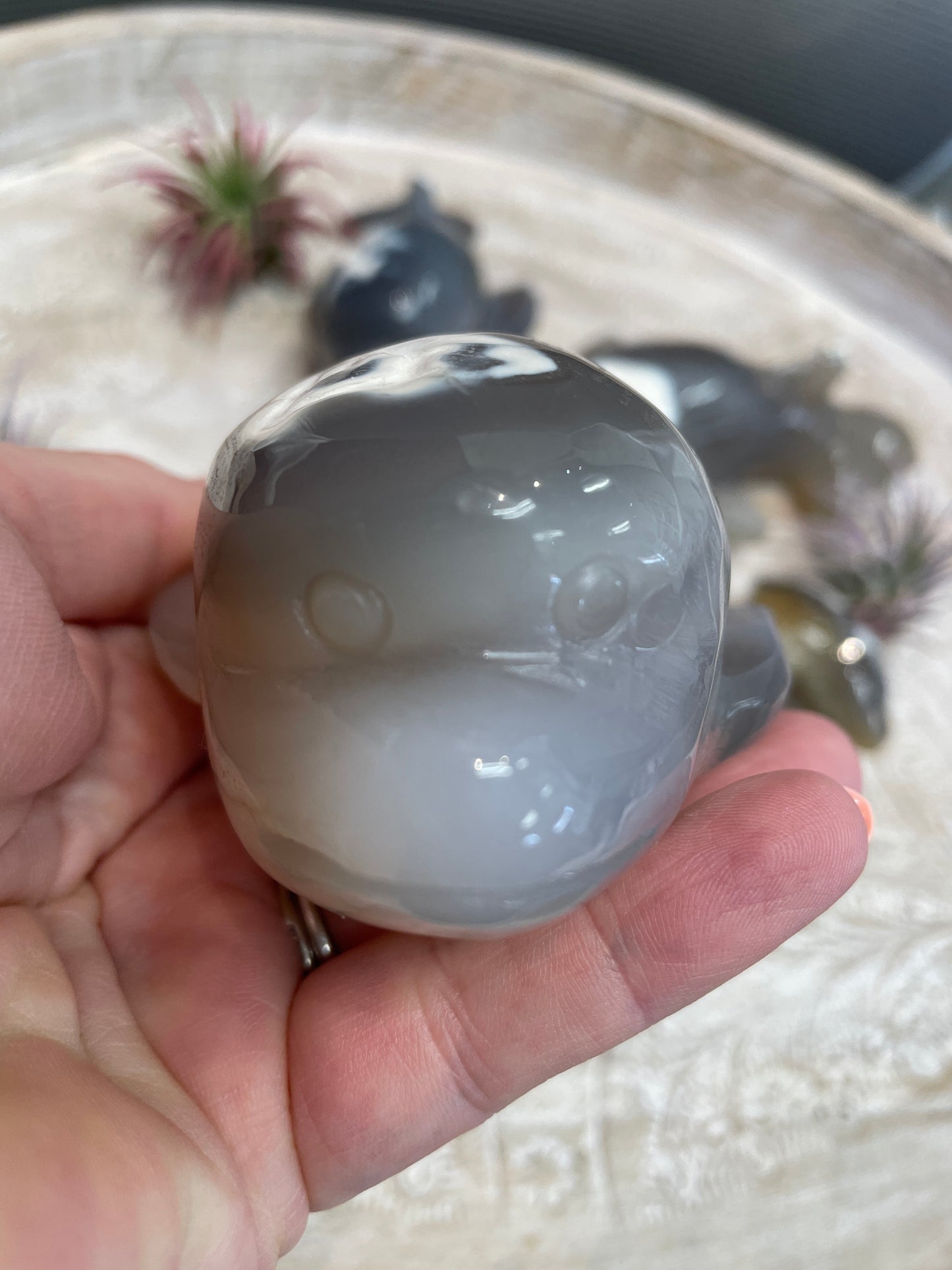 Orca Agate Whale