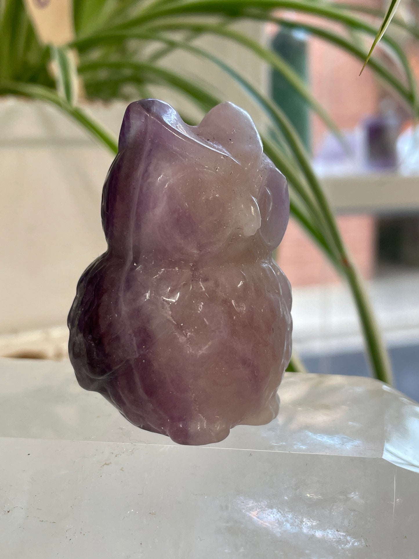 Fluorite Owl