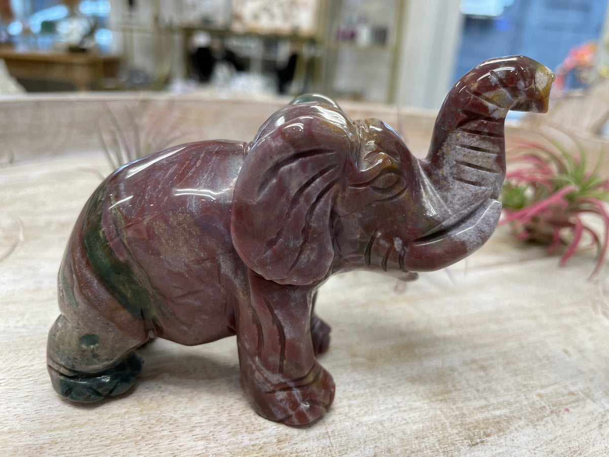 Elephant