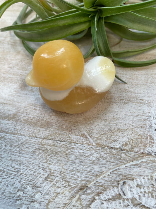 Calcite Duck
