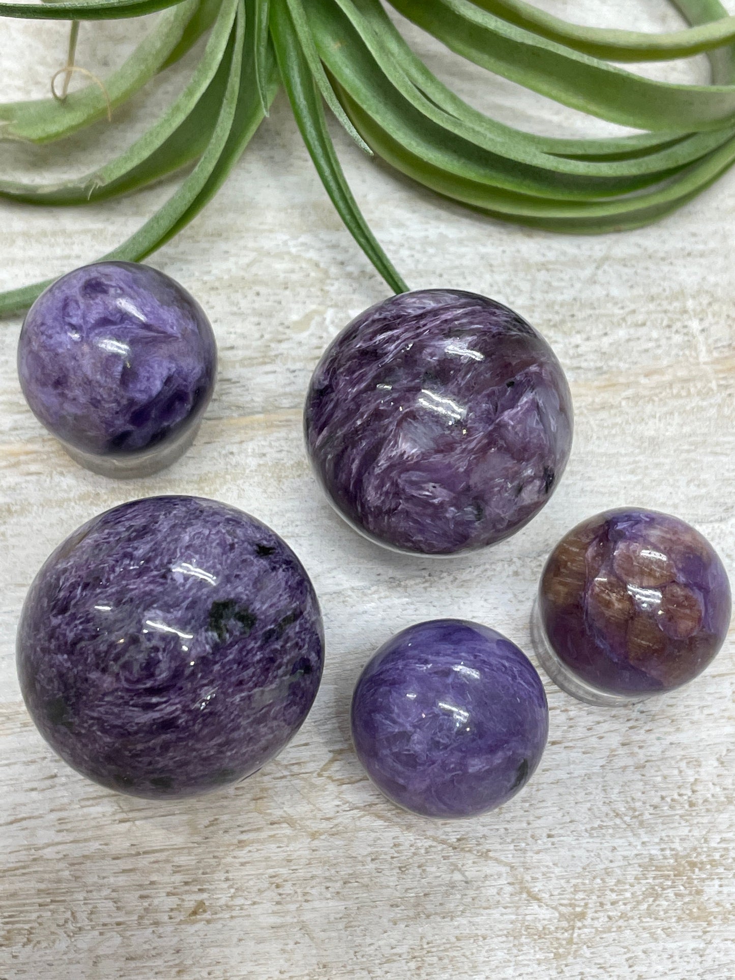 Charoite Sphere