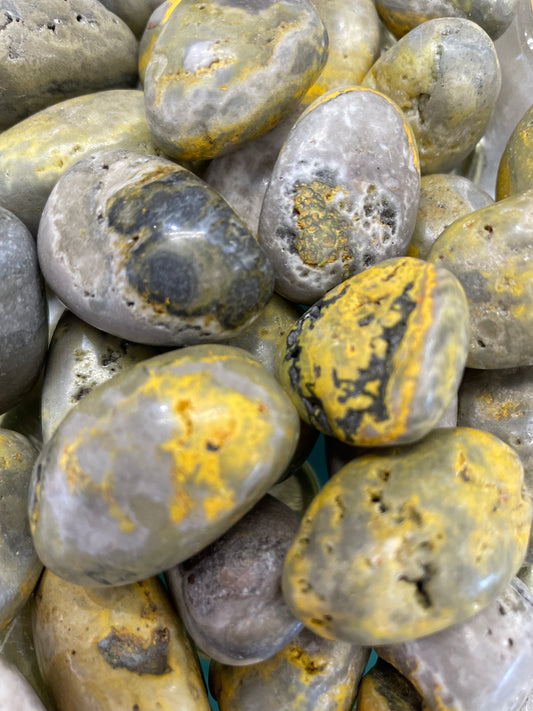 Bumble Bee Jasper Tumble