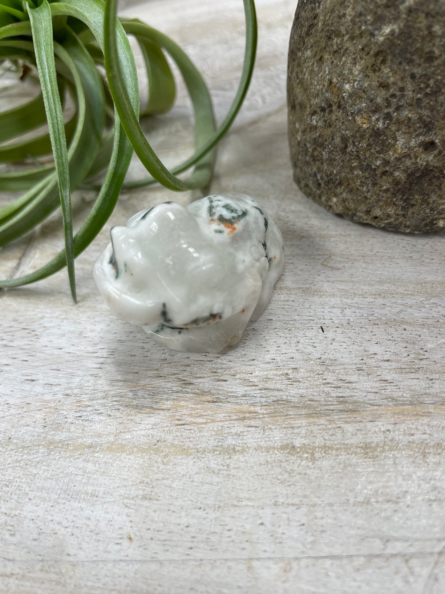 Moss Agate Money Toad