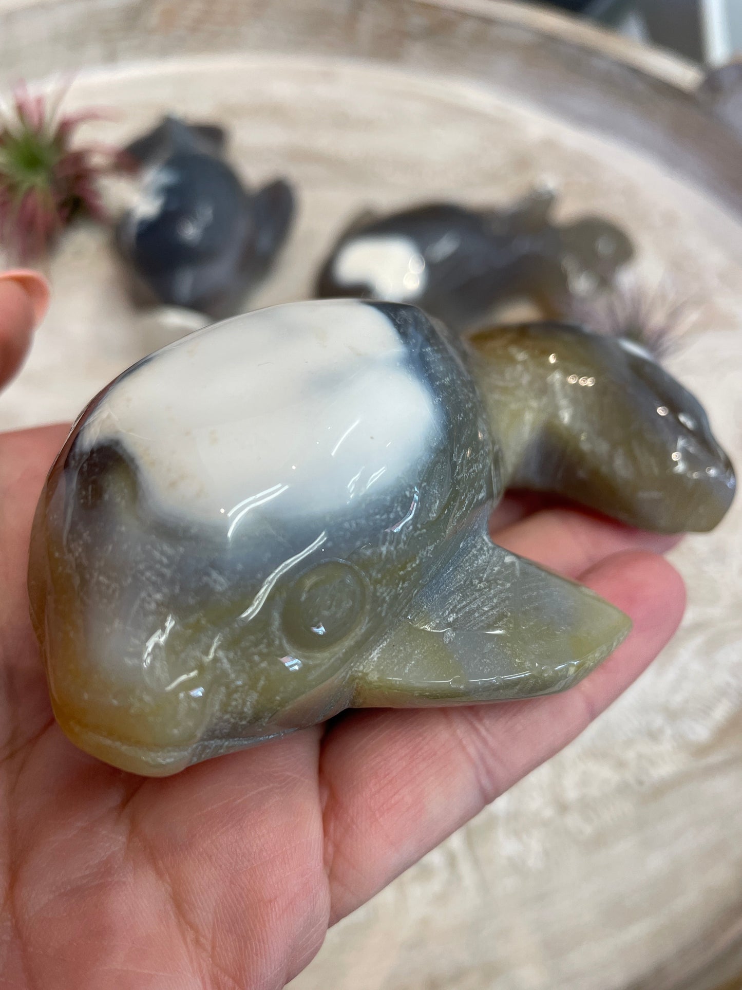 Orca Agate Whale