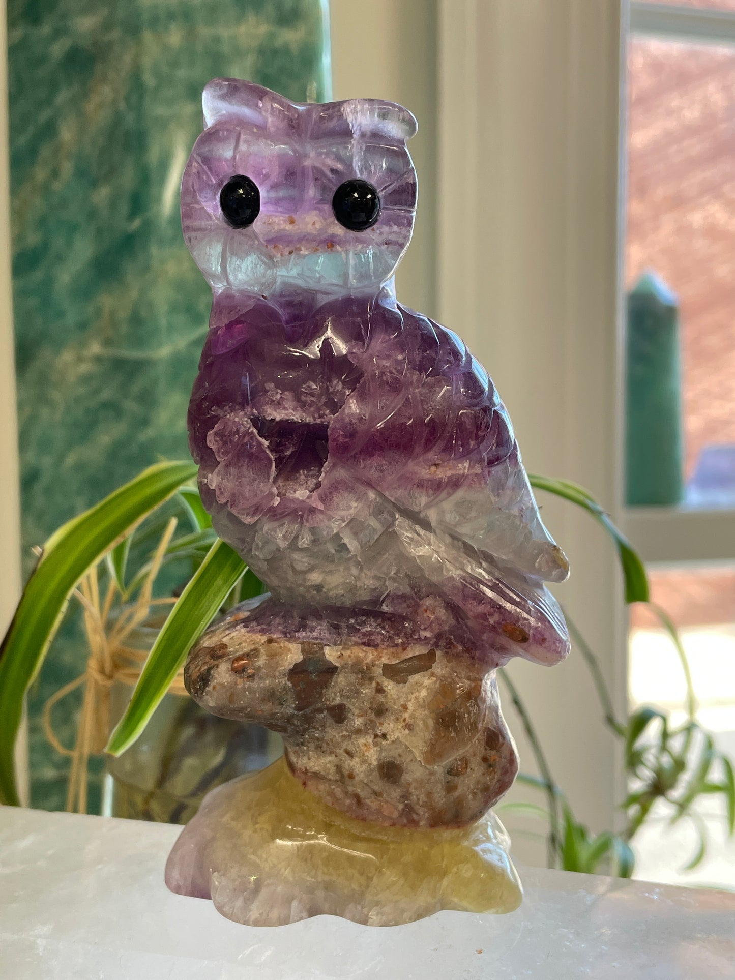 Fluorite Owl