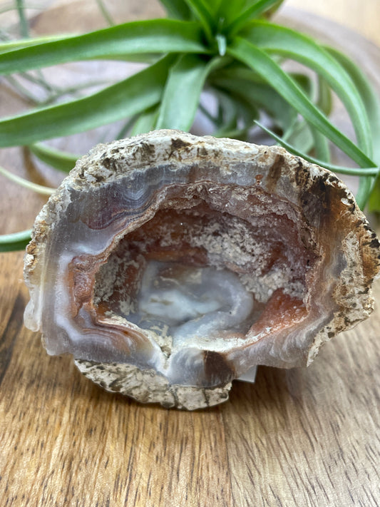 Botryoidal Chalcedony Geode