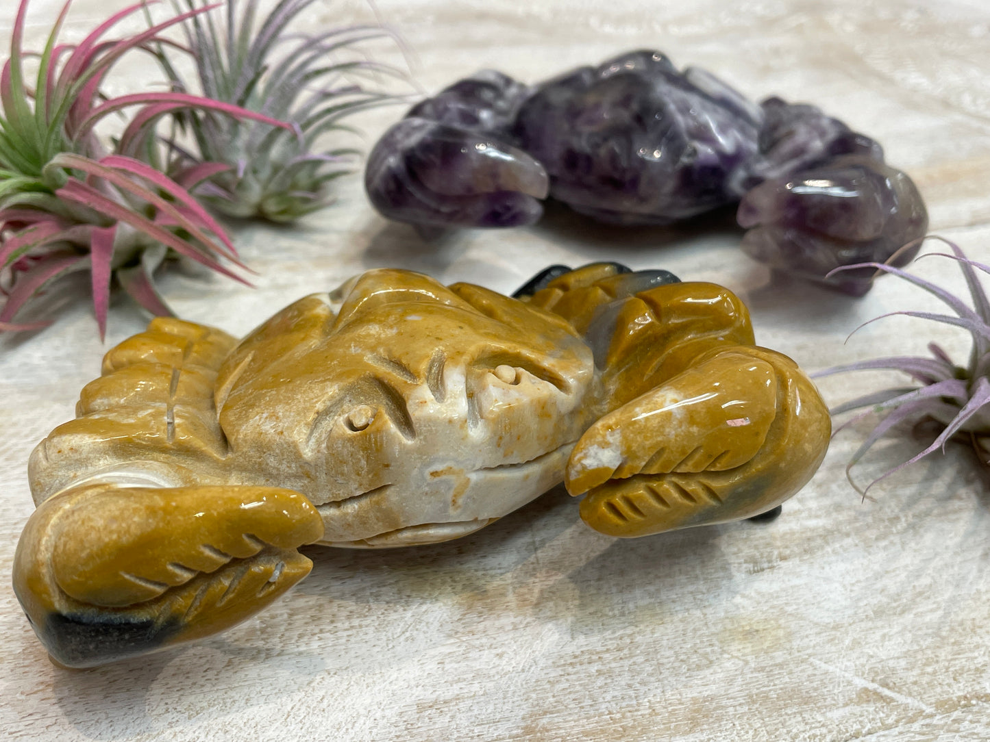 Crabs