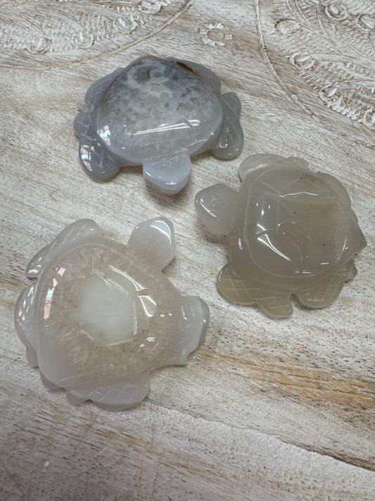 Druzy Agate Turtle