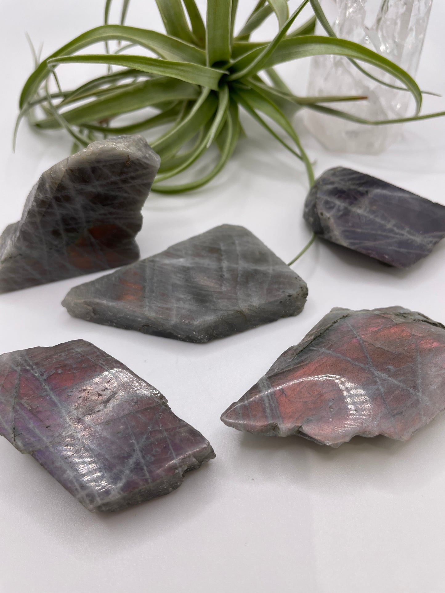 Labradorite Half Polished