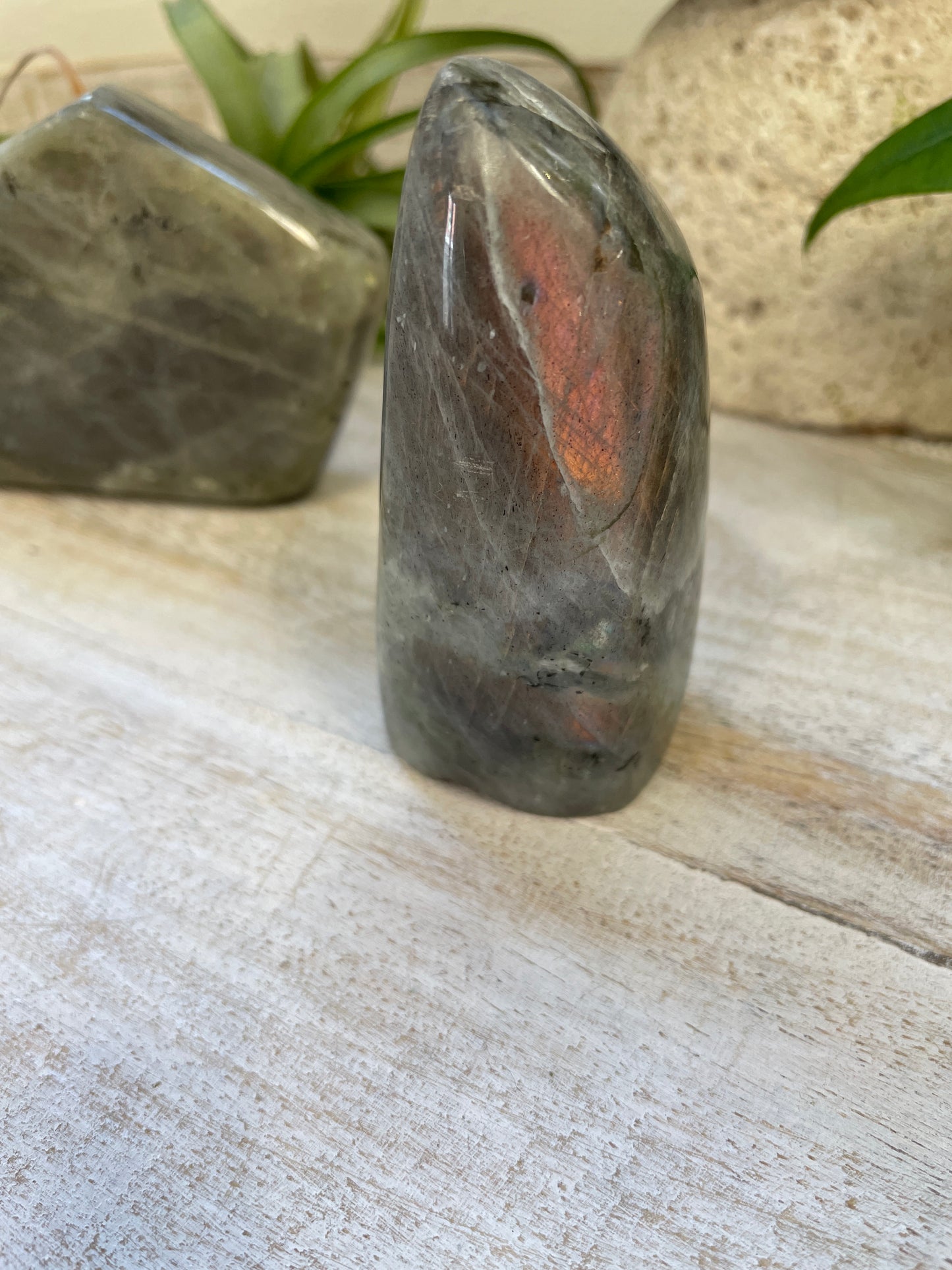 Labradorite Freeform